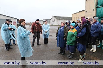 Встречу с трудовым коллективом молочно-товарного комплекса «Городище» сельхозпредприятия «Дотишки» провела председатель Вороновского районного Совета депутатов Елена Ганевич