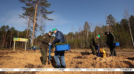 Навести порядок в общем доме. Вольфович об акции "Лес! Дабро! Парадак!"