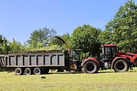 Гродненская область демонстрирует высокие темпы заготовки кормов