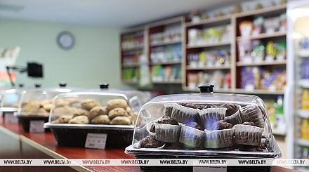 Вкусовые предпочтения, буфеты, вендинговые аппараты. Минобразования об изменениях в школьном питании
