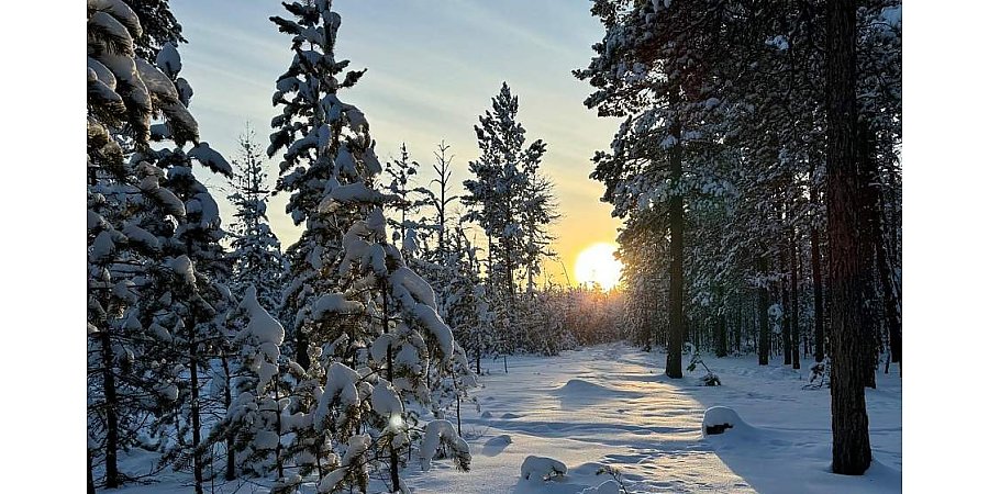 Южный циклон принесет в Беларусь снег, дождь и гололед, но Гродно минует