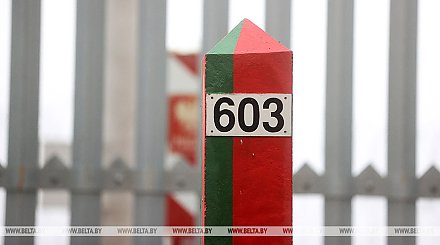 Дональд Туск заявил, что Польша может в ноябре открыть два пункта пропуска на границе с Беларусью