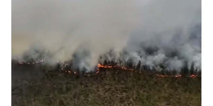 МЧС ликвидирует лесной пожар в Вороновском районе