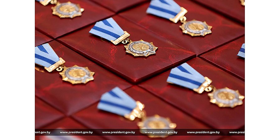 Новая госнаграда для многодетных семей появится в Беларуси