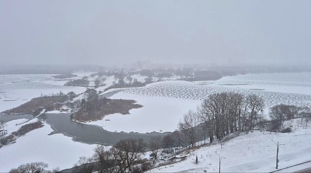 Облачно, во многих районах осадки. Какой будет сегодня погода в Беларуси