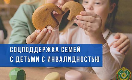 Какая поддержка оказывается семьям с детьми с инвалидностью