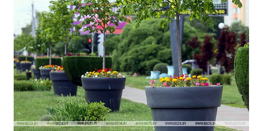 В Беларуси определили лучшие область, районы и населенные пункты по итогам Года благоустройства 