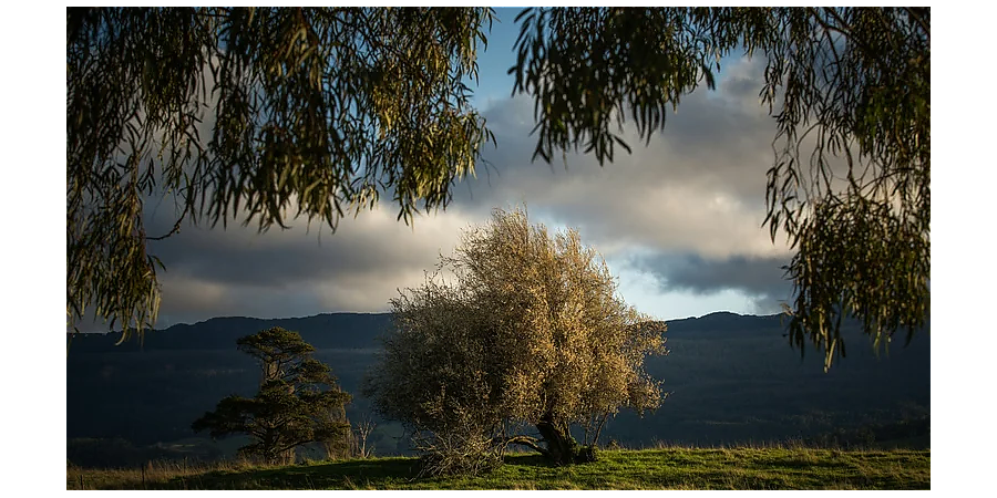 Народные приметы на 3 сентября: что можно и нельзя делать в этот день