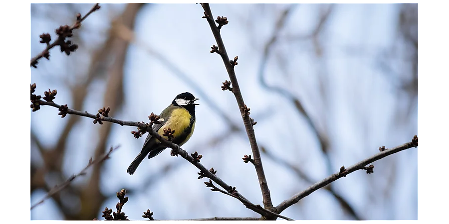 Помогите близким в Григорьев день: народные приметы на 7 февраля