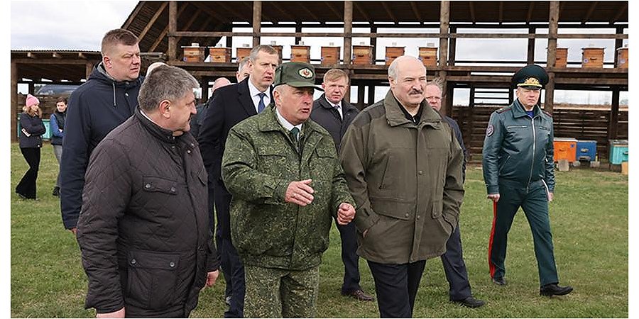 Пока кто-то "делал политику", Александр Лукашенко восстанавливал зоны отчуждения. Рассказываем про Полесский радиационный заповедник