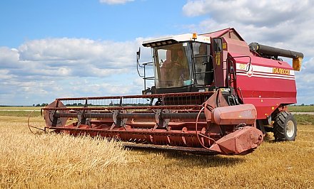В Гродненской области намолочено почти 173 тысячи тонн зерна