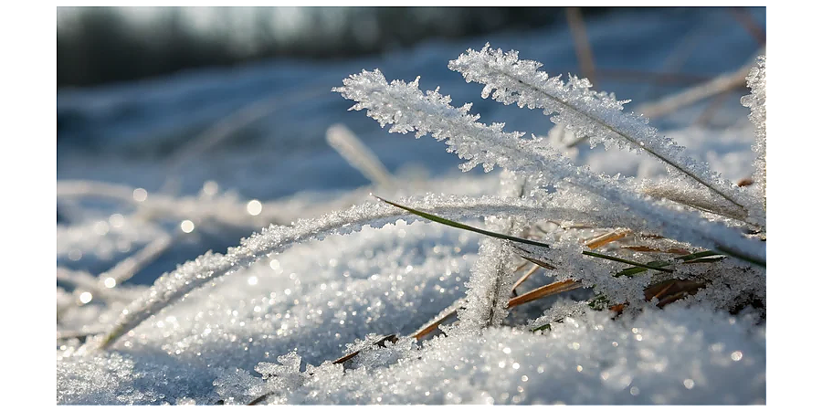Народные приметы на 31 января: что можно и нельзя делать в этот день