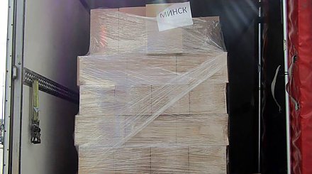 Почти 11 тыс. единиц никотиносодержащей продукции пытались незаконно ввезти в Беларусь