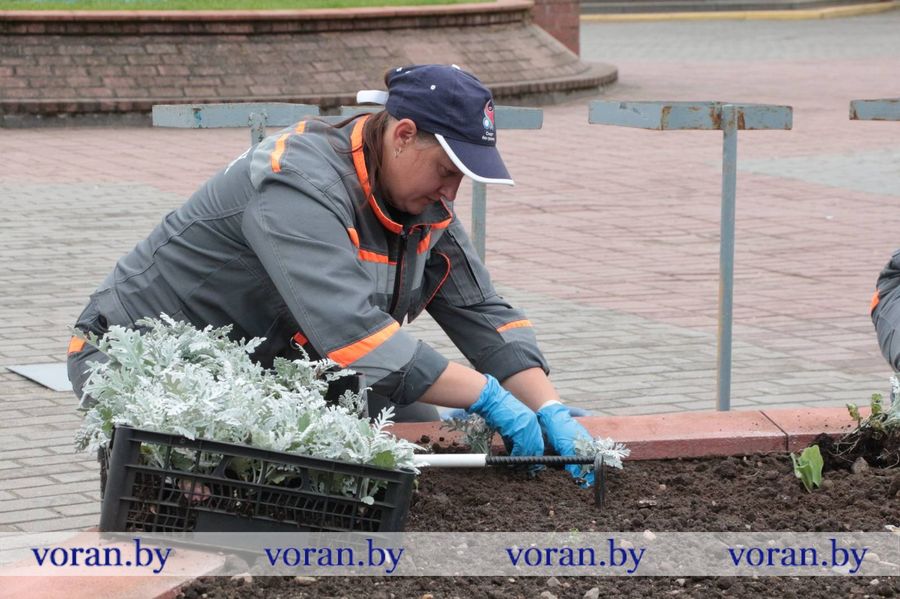 изображение_viber_2023-05-19_09-49-26-103.jpg изображение_viber_2023-05-19_09-49-26-103.jpg