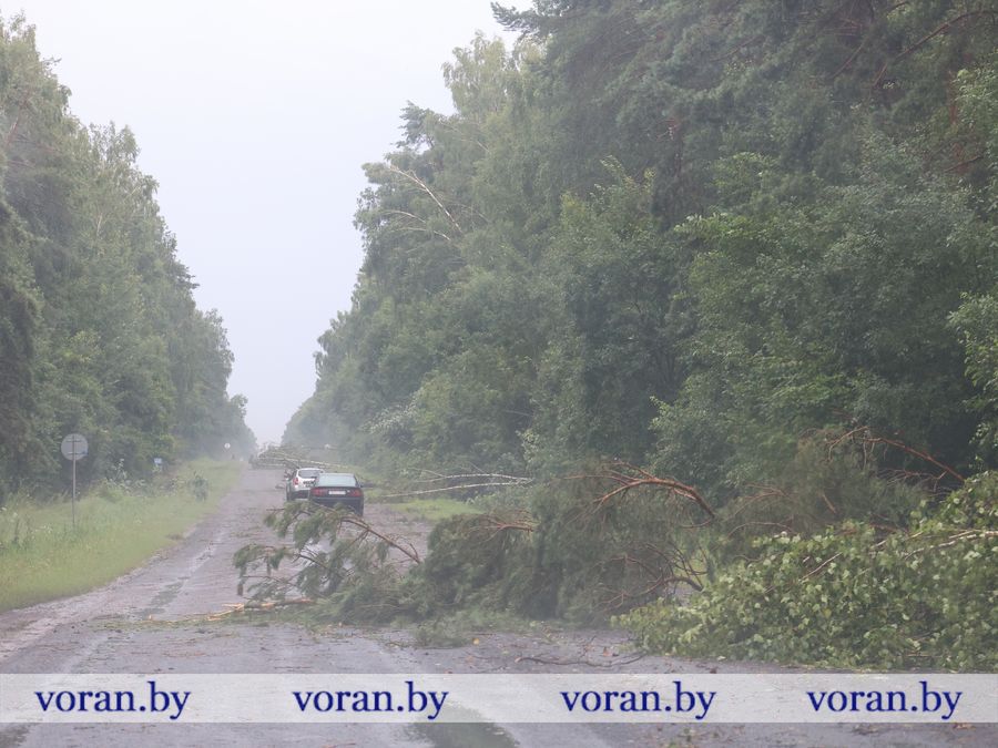 2F1A9598.JPG