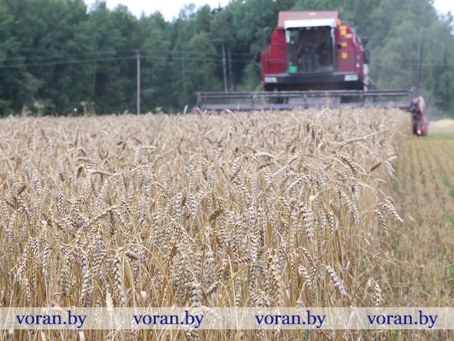 2F1A0722.JPG