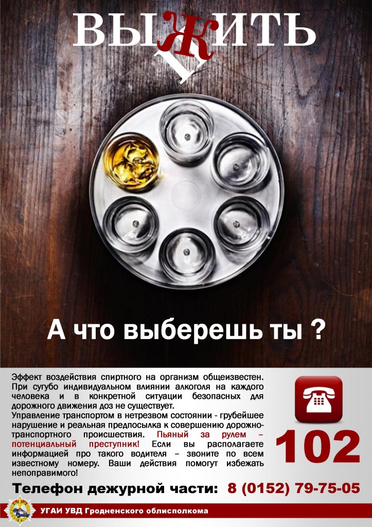Пьянка(вертикальная).jpg