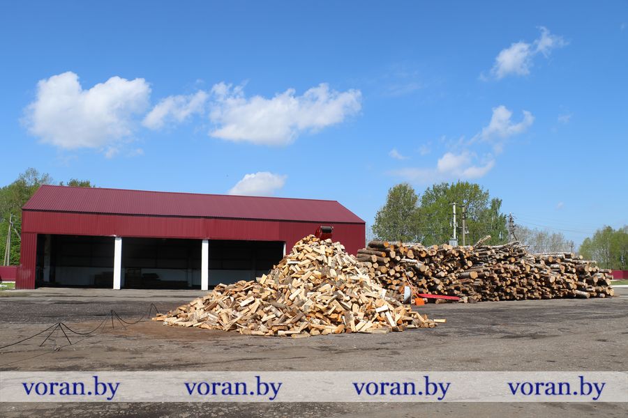 1C9A9455.JPG