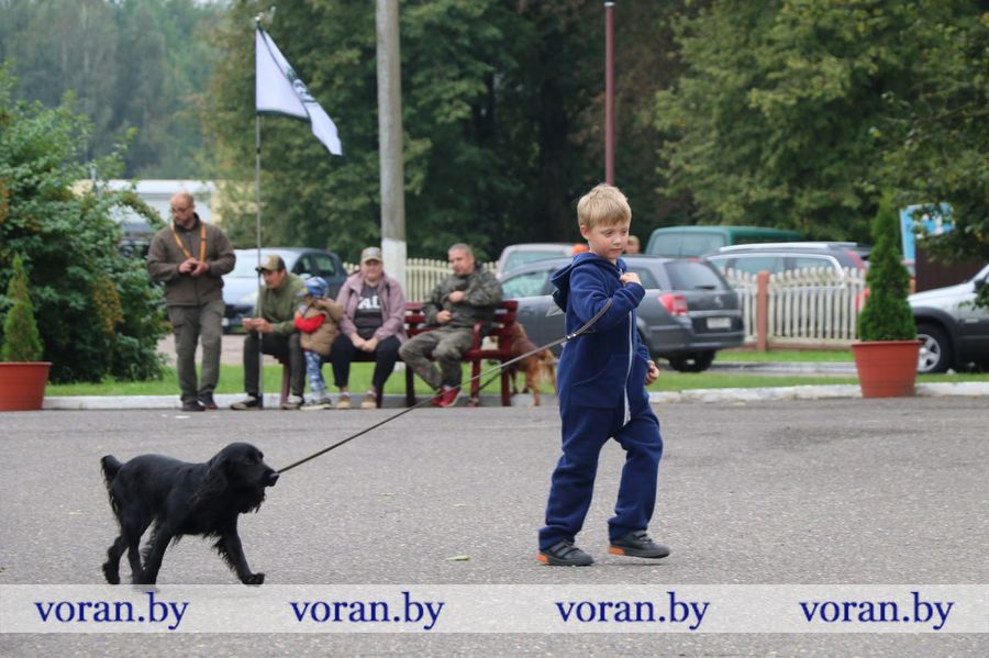 изображение_viber_2025-09-13_18-31-14-764.jpg