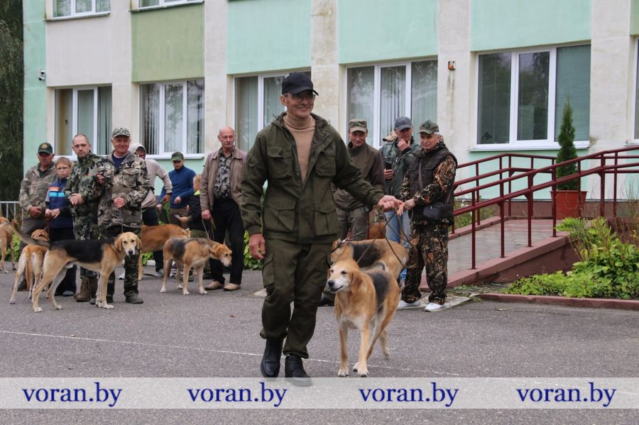 изображение_viber_2025-09-13_18-31-18-301.jpg