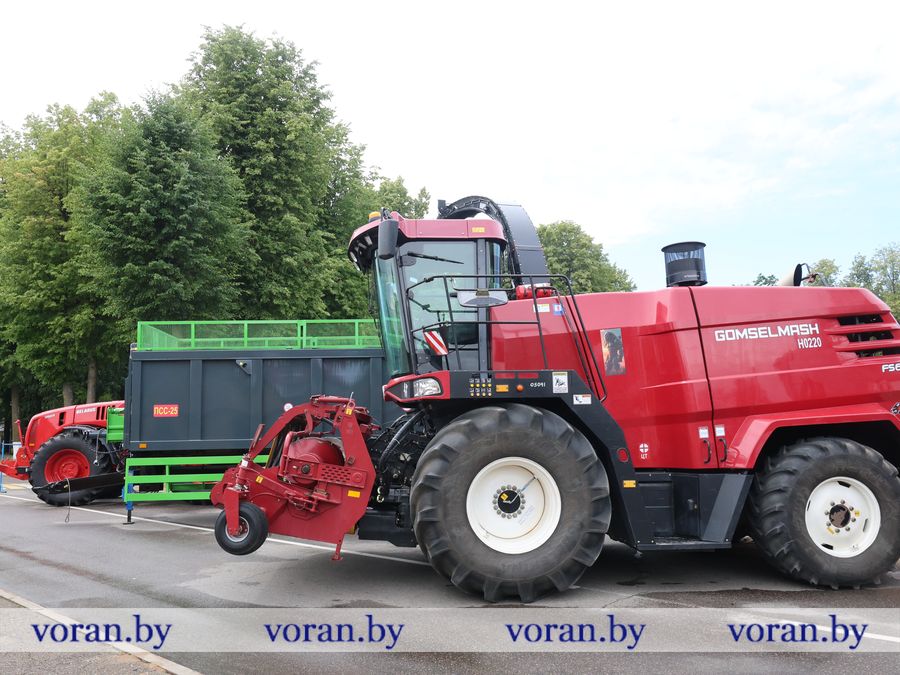 2F1A5909.JPG