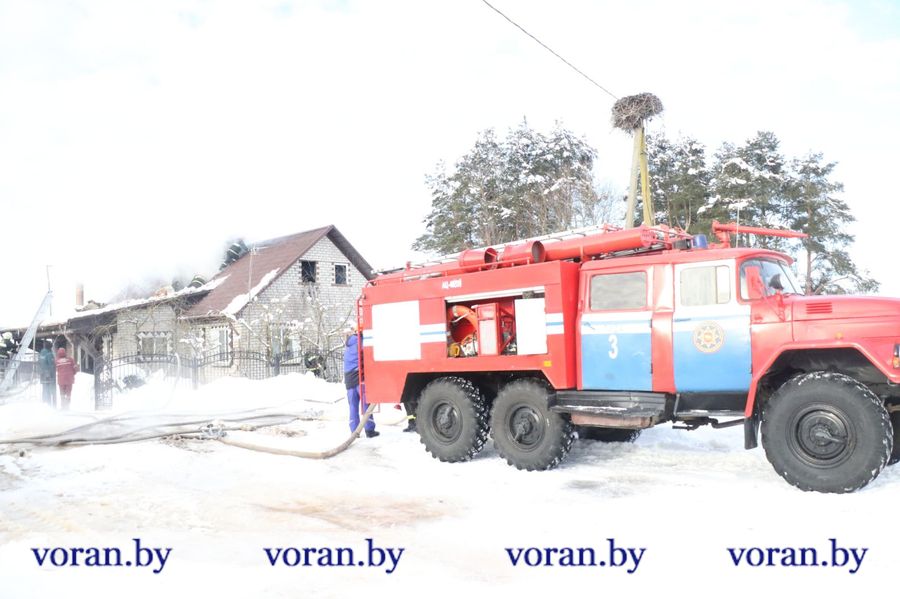 3.jpg 3.jpg