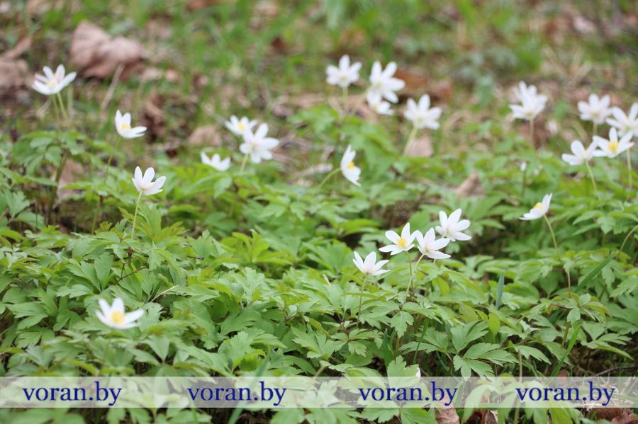 изображение_viber_2023-04-14_14-10-19-592.jpg