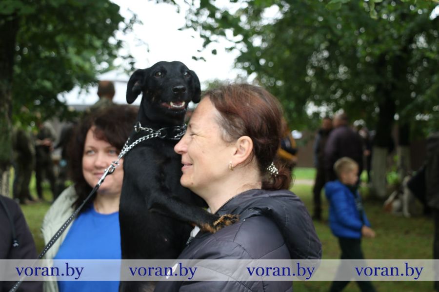 изображение_viber_2025-09-13_18-37-14-412.jpg