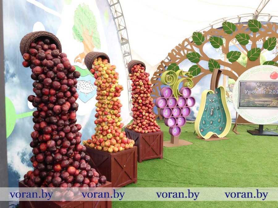 изображение_viber_2026-09-26_11-56-03-628.jpg изображение_viber_2026-09-26_11-56-03-628.jpg