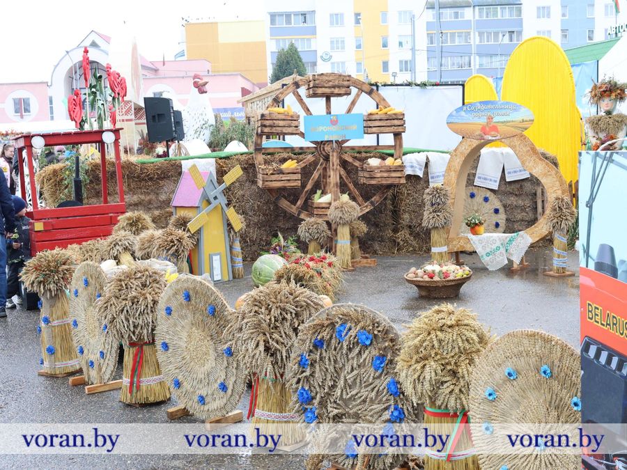 изображение_viber_2026-09-26_11-51-59-203.jpg изображение_viber_2026-09-26_11-51-59-203.jpg