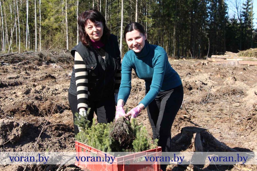 изображение_viber_2026-10-13_09-34-14-086.jpg