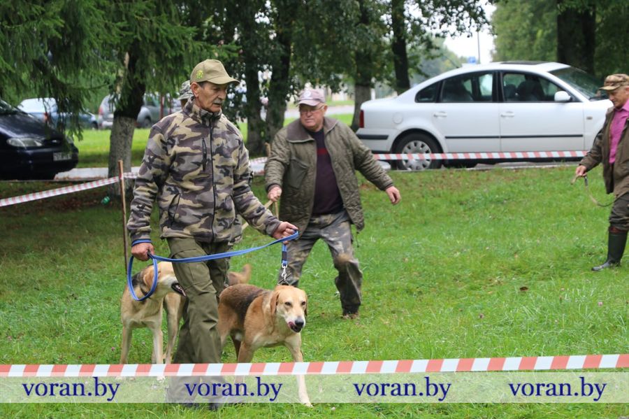 изображение_viber_2025-09-13_18-29-41-565.jpg