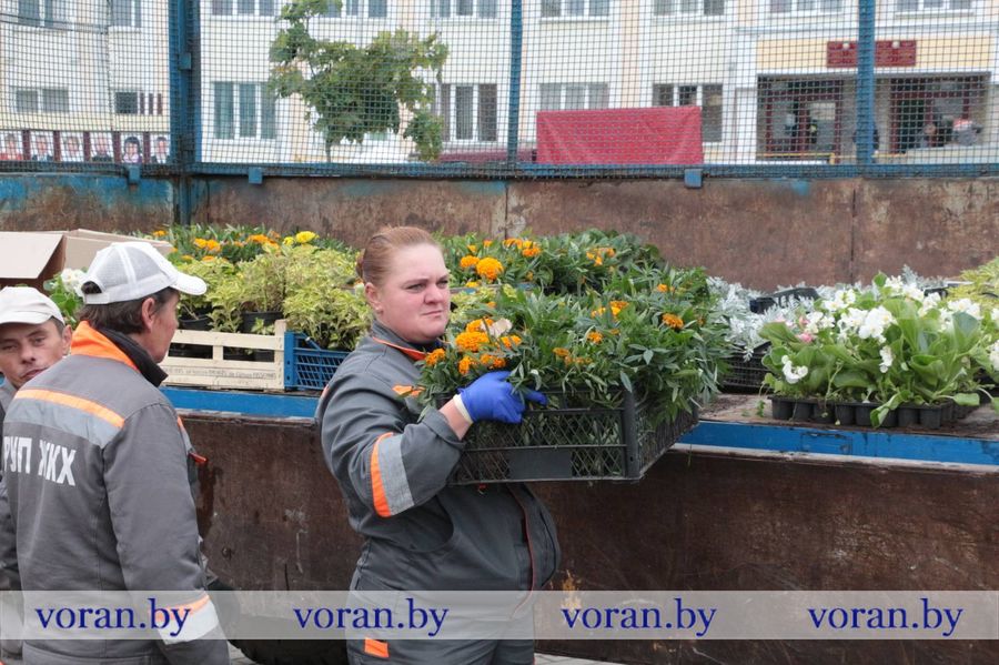 изображение_viber_2023-05-19_09-49-31-651.jpg изображение_viber_2023-05-19_09-49-31-651.jpg