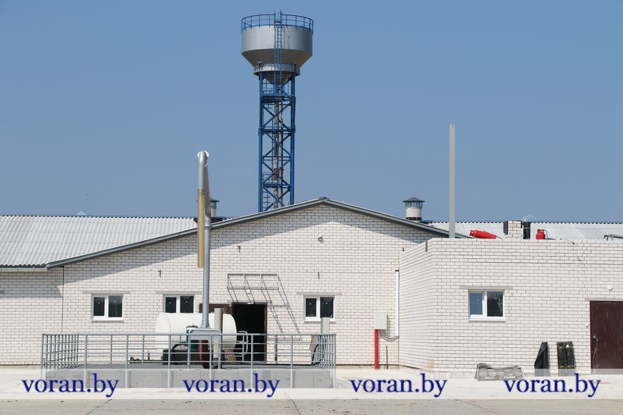 1C9A5392.JPG