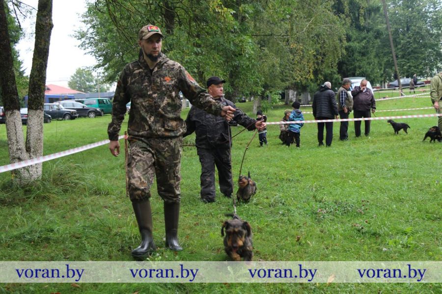 изображение_viber_2025-09-13_18-29-41-095.jpg