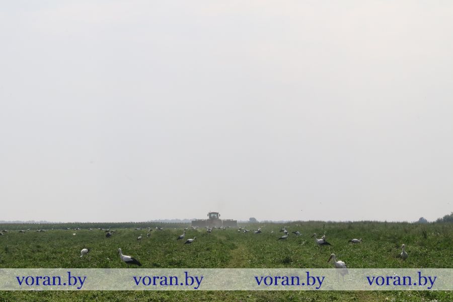 1C9A5283.JPG