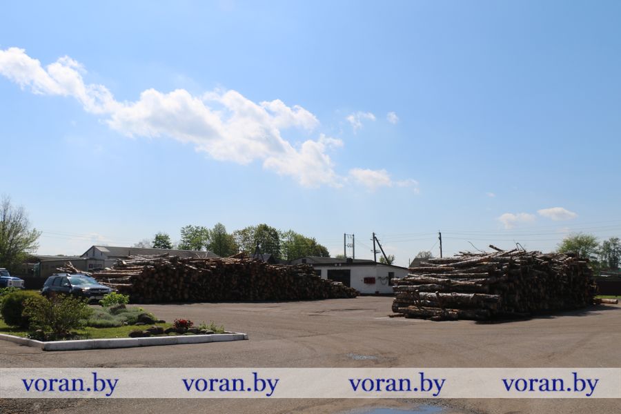 1C9A9469.JPG