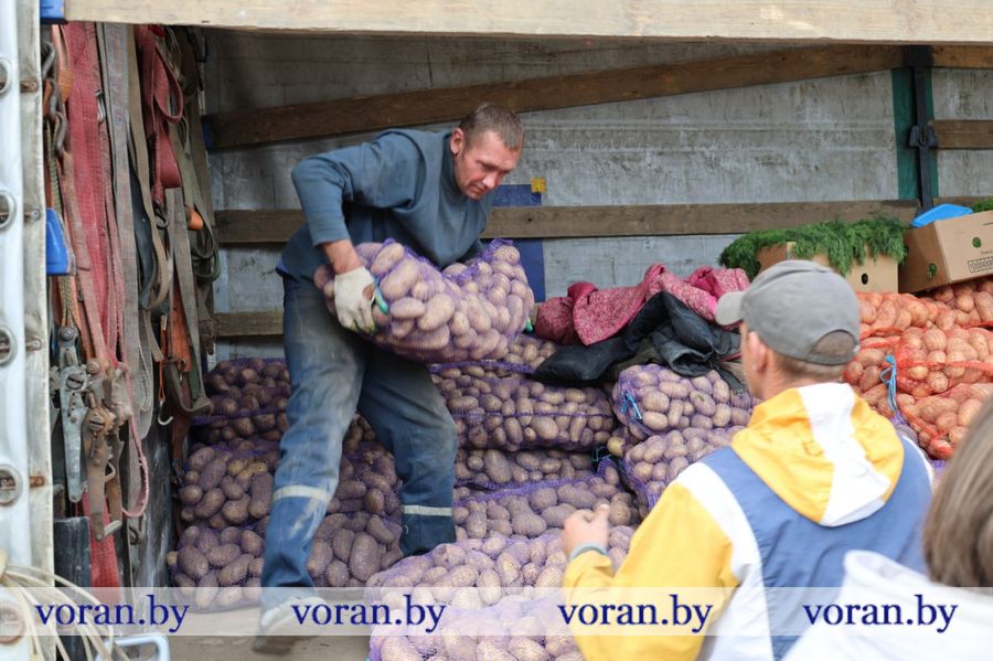 изображение_viber_2025-09-27_17-59-34-813.jpg