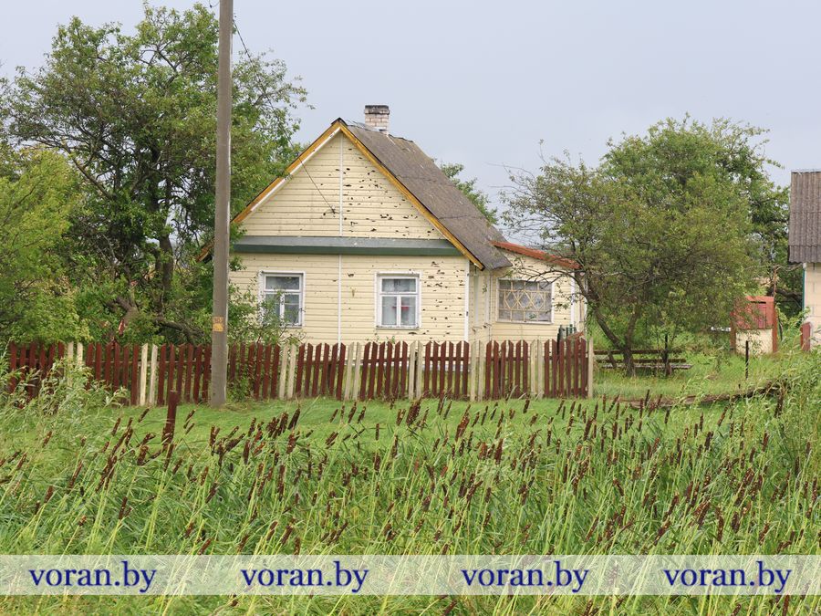 2F1A9501.JPG