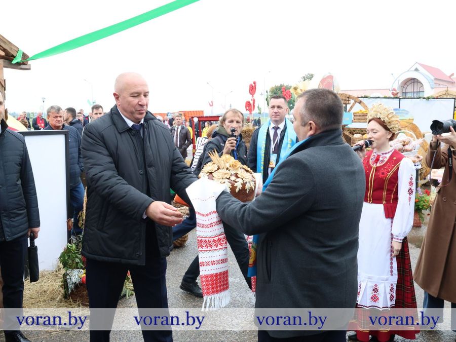 изображение_viber_2026-09-26_11-50-39-477.jpg изображение_viber_2026-09-26_11-50-39-477.jpg