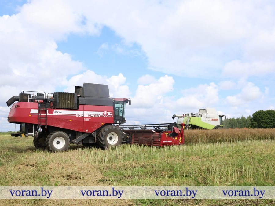 2F1A9157.JPG