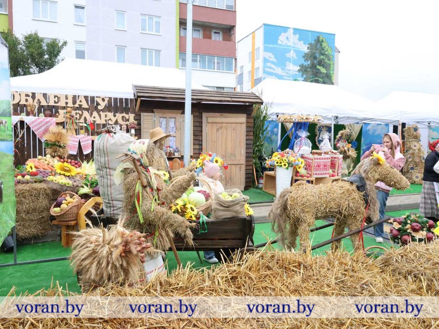 изображение_viber_2026-09-26_11-56-03-057.jpg изображение_viber_2026-09-26_11-56-03-057.jpg