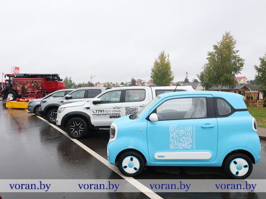 изображение_viber_2026-09-26_09-51-23-360.jpg изображение_viber_2026-09-26_09-51-23-360.jpg