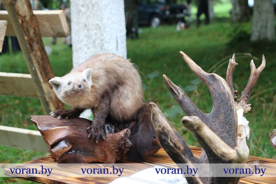 изображение_viber_2025-09-13_18-37-14-373.jpg