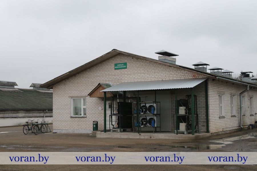 1C9A4350.JPG
