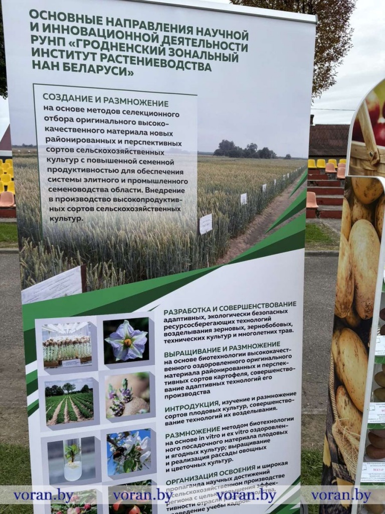 изображение_viber_2025-09-27_17-57-29-553.jpg