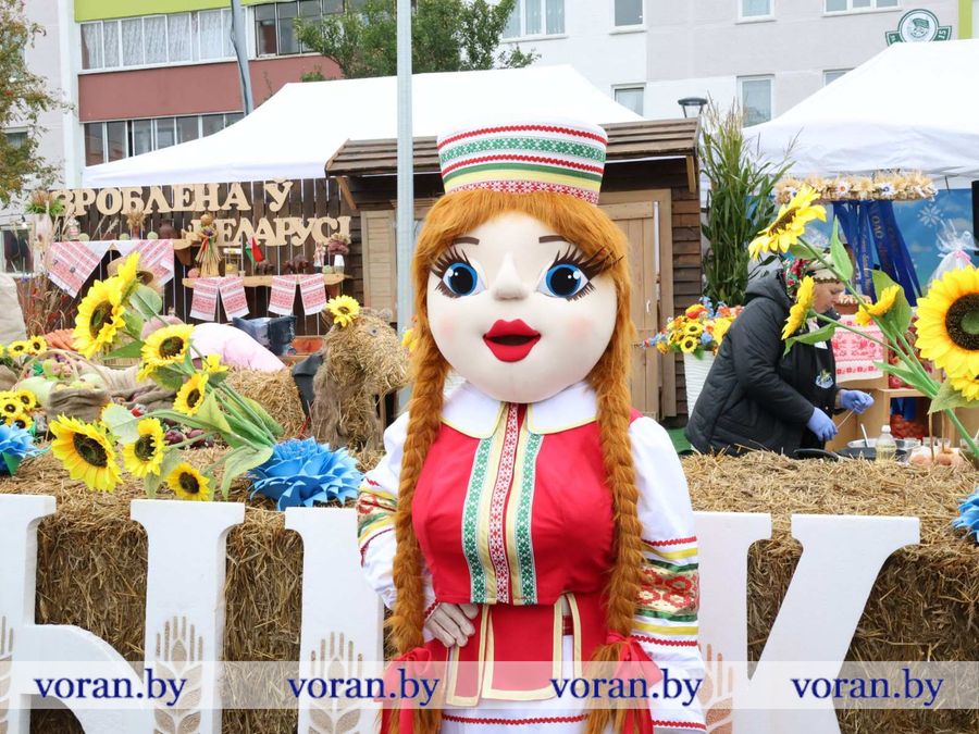 изображение_viber_2026-09-26_11-56-03-115.jpg изображение_viber_2026-09-26_11-56-03-115.jpg