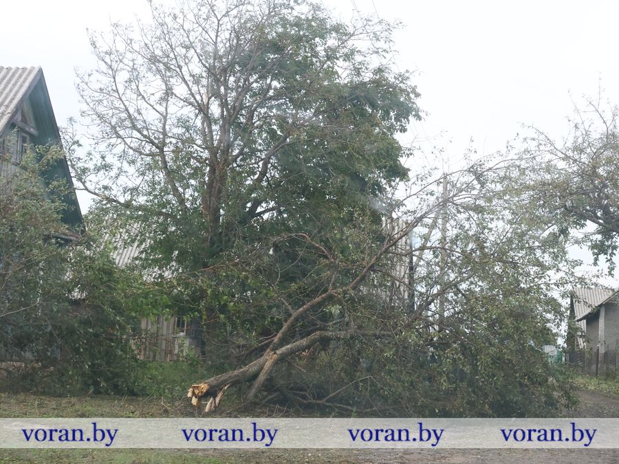 2F1A9667.JPG