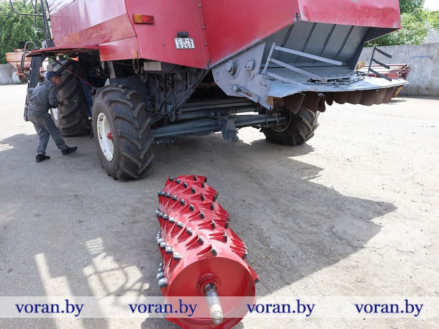2F1A2386.JPG