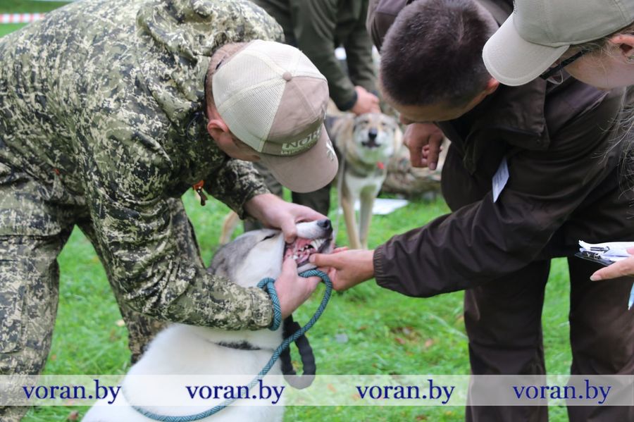 изображение_viber_2025-09-13_18-29-41-780.jpg
